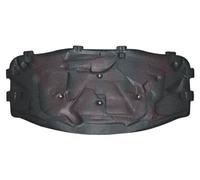 Piezas de motor > Motor y culata > Amortiguación del compartimiento de motor