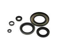 CORTECO Kit de retenes, motor para RENAULT: MÃ©gane, ScÃ©nic, Clio, Kangoo, Modus, Thalia & NISSAN: Almera, Micra & DACIA: Logan (Ref: 289038)