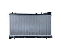 Piezas de motor > Refrigeración de motor > Refrigerador, batería accionamiento