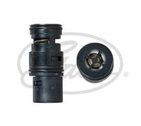 Piezas de motor > Refrigeración de motor > Termostato, refrigeración del aceite