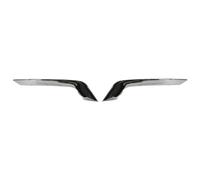 Moldura del parachoques posterior cromo 6502-07-6013970P BLIC para RENAULT