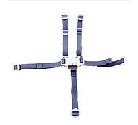 Piezas de repuesto para silla alta Fisher-Price 4 en 1 Total Clean DKR72 + más modelos ~ Correa de sujeción de 5 puntos ~ 2 correas de hombro, 2 correas de cintura, correa de entrepierna con hebilla