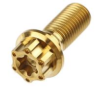 Piezas de Tornillo Tornillo De Titanio para Motocicleta, 1 Pieza, M6, M8, M10, Torx Interior Universal(M10 25MM 1 Piece I)