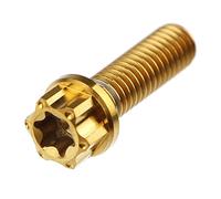 Piezas de Tornillo Tornillo De Titanio para Motocicleta, 1 Pieza, M6, M8, M10, Torx Interior Universal(M6 20MM 1 Piece A)