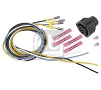 Piezas habitáculo > Electricidad > Adaptador, caja de enchufe