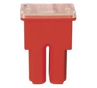 Piezas habitáculo > Electricidad > Fusible japonés