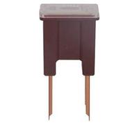 Restagraf Fusible japonés macho tipo B 140A compatible con vehículos tipo: Hyundai, Kia, Lexus, Mazda, Mitsubishi, Nissan, Toyota (paquete de 1 unids), Burdeos