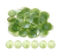 Piezas redondas de concha - 100 dijes para manualidades, colgantes planos de concha marina natural de 5 cm con agujeros, conectores de cuentas de moneda de concha de disco para campanillas de viento