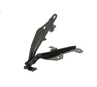 Piezas relacionadas con el capó BLIC para FORD USA MUSTANG Coupé 5 2015-2023