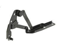 Piezas relacionadas con el capó BLIC para GRAND VOYAGER V (RT) 3.8 2008-2011