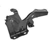 Piezas relacionadas con el capó BLIC para LEXUS NX II (_A2_, _H2_) 2.5 2021-