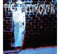 Pig destroyer - Book burner [Vinilo]