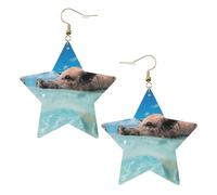 Pig Swim Bathe - Pendientes de moda para mujer, aretes colgantes celestiales, joyería en forma de estrella para una versatilidad, One Size, Cuero