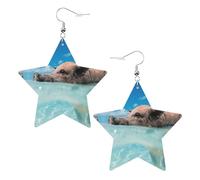 Pig Swim Bathe - Pendientes de moda para mujer, aretes colgantes celestiales, joyería en forma de estrella para una versatilidad, One Size, Cuero