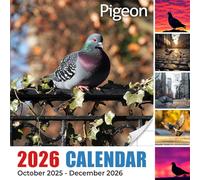 Pigeon 2026 Calendar: Urban life and surprising grace in overlooked flocks