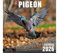Pigeon 2026 Calendar: Urban life and surprising grace in overlooked flocks