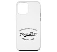 Pigeon Forge Tennessee TN Diversión en los Smokies Carcasa para iPhone 12 Mini