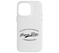 Pigeon Forge Tennessee TN Diversión en los Smokies Carcasa para iPhone 14 Pro MAX