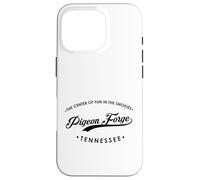 Pigeon Forge Tennessee TN Diversión en los Smokies Carcasa para iPhone 16 Pro