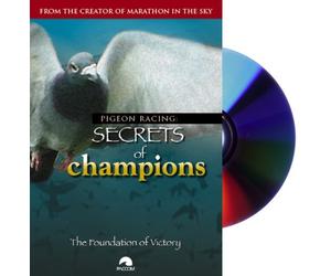 Pigeon Racing: Secrets of Champions [DVD]