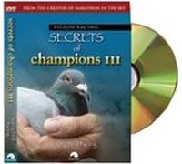 Pigeon Racing: Secrets of Champions III: Young Bird Racing