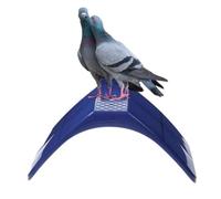 Pigeon Standing Support | Lightweight Safe Comfortable | Pigeons Dwelling Frame Installation For A Convenient Aviary Setup. Their Lightweight, Easy To Assemble Design Enables Quick Mounting Without T