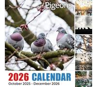 Pigeons 2026 Calendar: City birds and country flights captured in soft focus