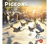 Pigeons 2026 Calendar: City birds and country flights captured in soft focus