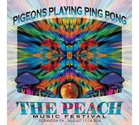 Pigeons Playing Ping Pong - Pigeons Playing Ping Pong / Peach Music Festival 2016