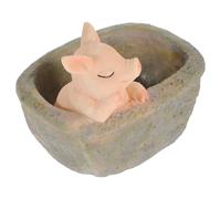 Piggy Pot Maceta De Para Suculentas Cactus Y Bonsái