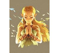 Piggyback Legend of Zelda: Breath o. t. W. Erw LB