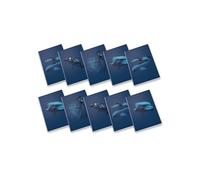 Pigna, Maxi cuaderno monocromo azul, A4, papel interior 100 g/m², páginas 72 + solapa, interior 5 m, cuadros 5 mm, diseños surtidos, paquete de 10