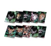 Pigna, paquete de 10 cuadernos maxi A4 ANIMAL, 80 páginas + guarda, cuadrícula de 5 mm con margen