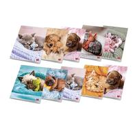 Pigna, paquete de 10 cuadernos maxi A4 DOLCI CUCCIOLI, 80 páginas + guarda, rayado para 1.º y 2.º de primaria