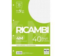 Pigna, Paquete de 40 hojas perforadas de 4 agujeros para archivar, A4, 21x29,7, hojas con agujeros sin refuerzo, 4M, cuadrados 4 mm.