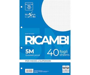 Pigna, Paquete de 40 hojas perforadas de 4 agujeros para archivar, A4, 21x29,7, hojas con agujeros sin refuerzo, 5M, cuadriculadas 5 mm.