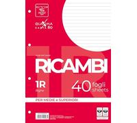 Pigna, Paquete de 40 Recambios con 4 agujeros para archivar, hojas tamaño A4, 21x29,7, hojas con agujeros sin refuerzo, 1R, rayadas