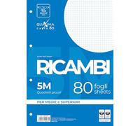 Pigna, Paquete de 80 hojas perforadas de 4 agujeros para archivar, A4, 21x29,7, hojas con agujeros sin refuerzo, 5M, cuadriculadas 5 mm.