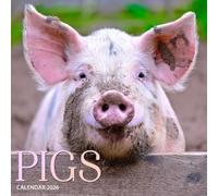 Pigs 2026 Calendar: Adorable Farm Friends and Country Charm
