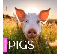 Pigs 2026 Calendar: Cute Farm Animals and Country Life Photography