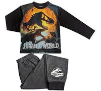 Pijamas Jurassic World para niños - Manga larga - de 4 a 10 años, negro/gris, 5-6 años