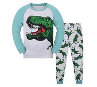 Pijamas para niños pequeños de algodón de Dinosaurio de 2 Piezas de Tren para niños pequeños Ropa de Dormir otoño Invierno Conjunto de Ropa Trajes Mascota