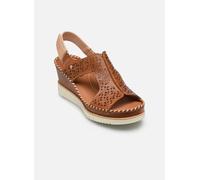 Pikolinos AGUADULCE W3Z-1623C1 40 Marrón