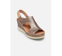 Pikolinos AGUADULCE W3Z-1623CLC1 37 Oro y bronce