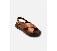 Pikolinos AITANA W7Z-0995 38 Marrón