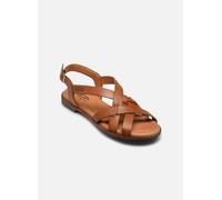 Pikolinos Algar W0X-0556St 36 Marrón