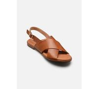 Sandalias planas salomé de piel Valencia Mujer Talla 41. Color Marron