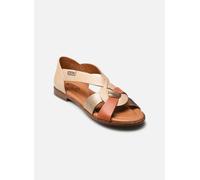 Pikolinos ALGAR W0X-0812 37 Multicolor