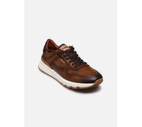 Pikolinos Aranda M8R-6239C1 43 Marrón