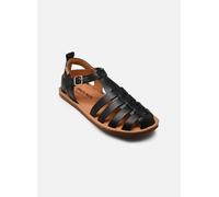 Pikolinos BETERA W0F-0934 40 Negro